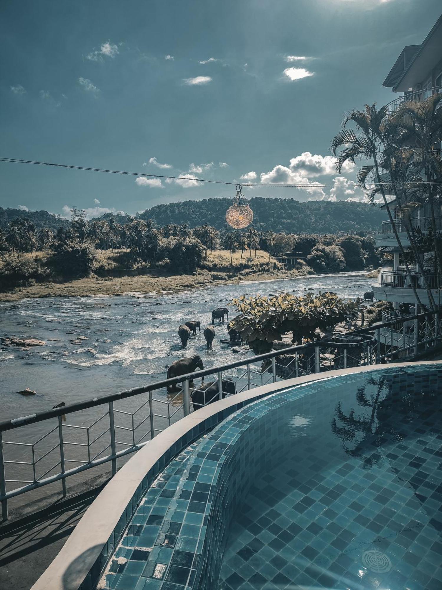 Hotel Elephant Park - New Deal! Half Off Airport Pickups Available Pinnawala  Exterior foto