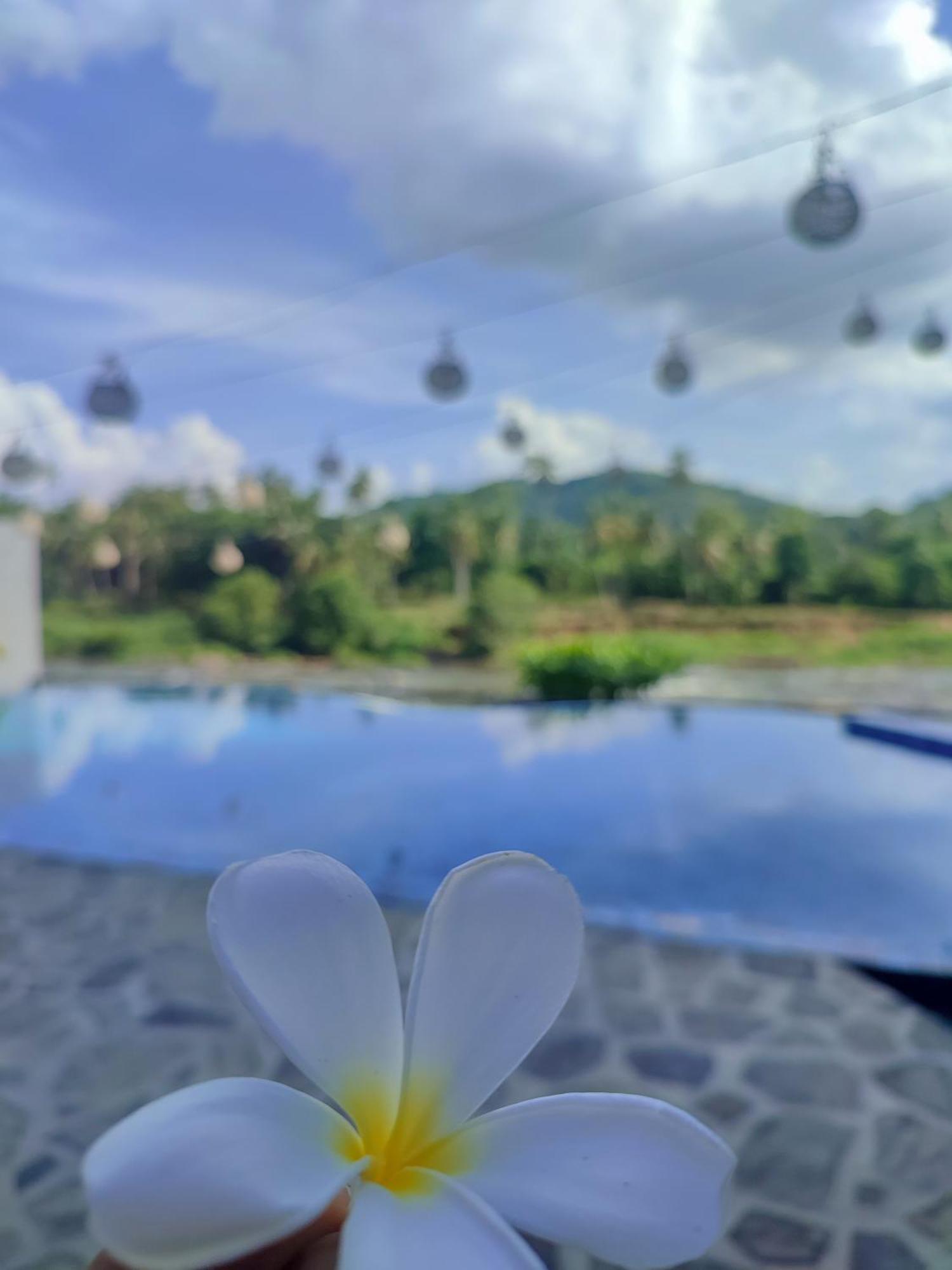 Hotel Elephant Park - New Deal! Half Off Airport Pickups Available Pinnawala  Exterior foto