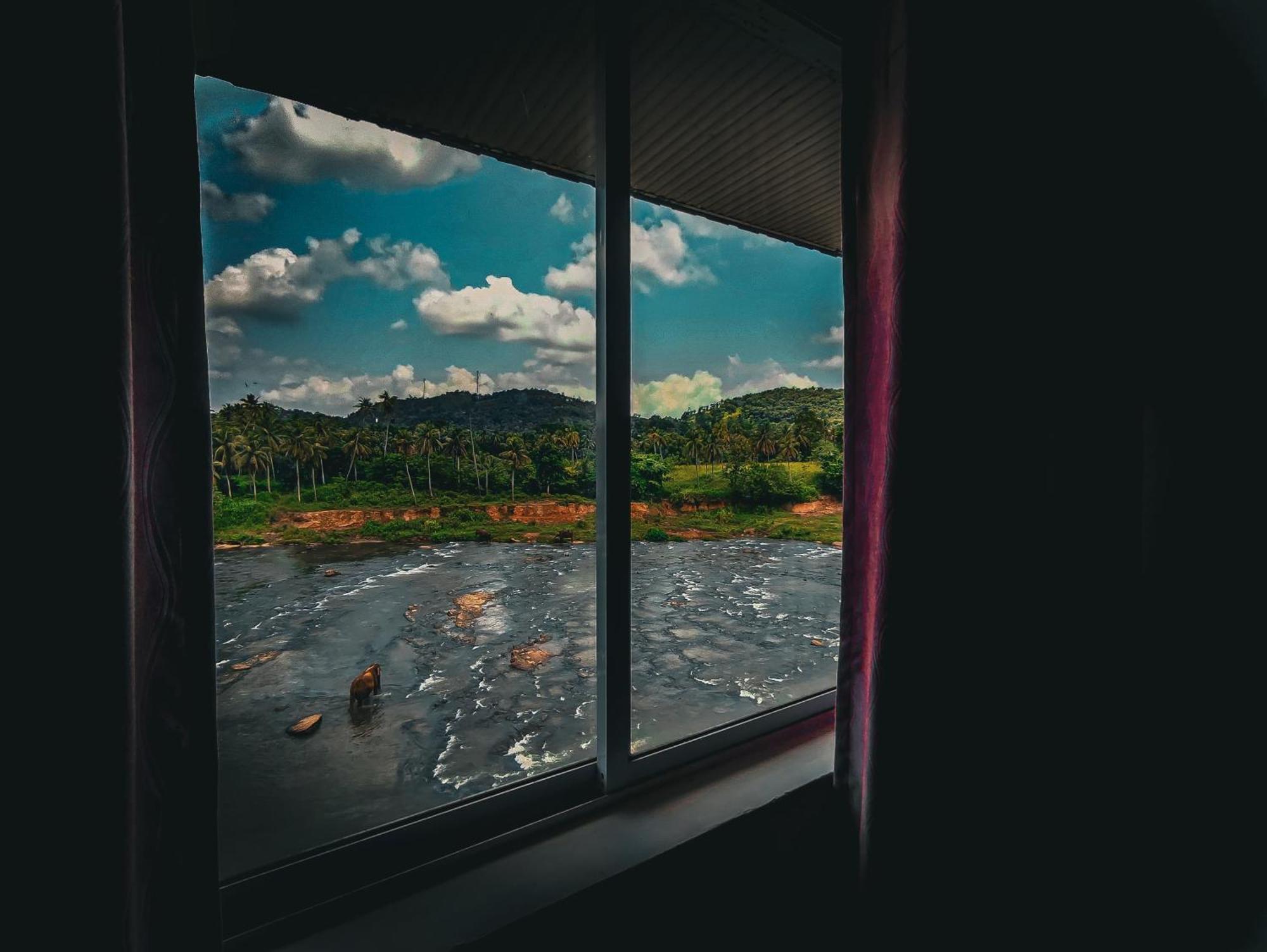 Hotel Elephant Park - New Deal! Half Off Airport Pickups Available Pinnawala  Exterior foto