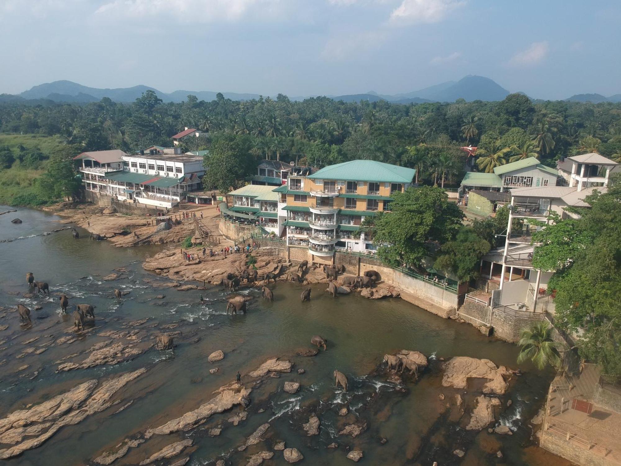 Hotel Elephant Park - New Deal! Half Off Airport Pickups Available Pinnawala  Exterior foto