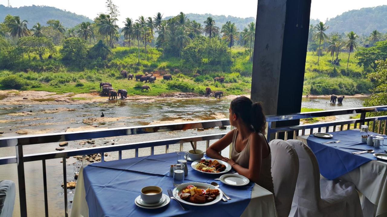 Hotel Elephant Park - New Deal! Half Off Airport Pickups Available Pinnawala  Exterior foto