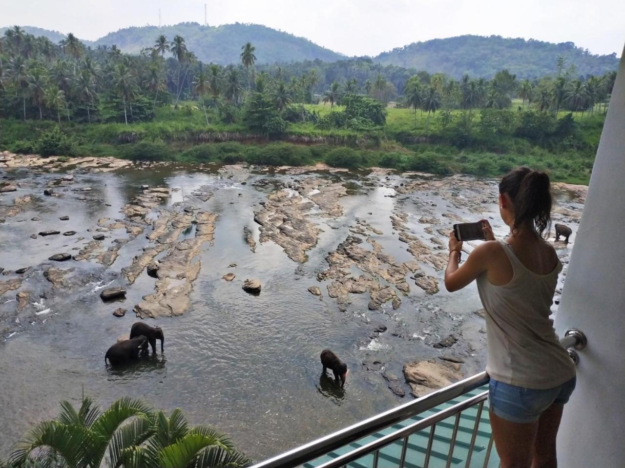 Hotel Elephant Park - New Deal! Half Off Airport Pickups Available Pinnawala  Exterior foto