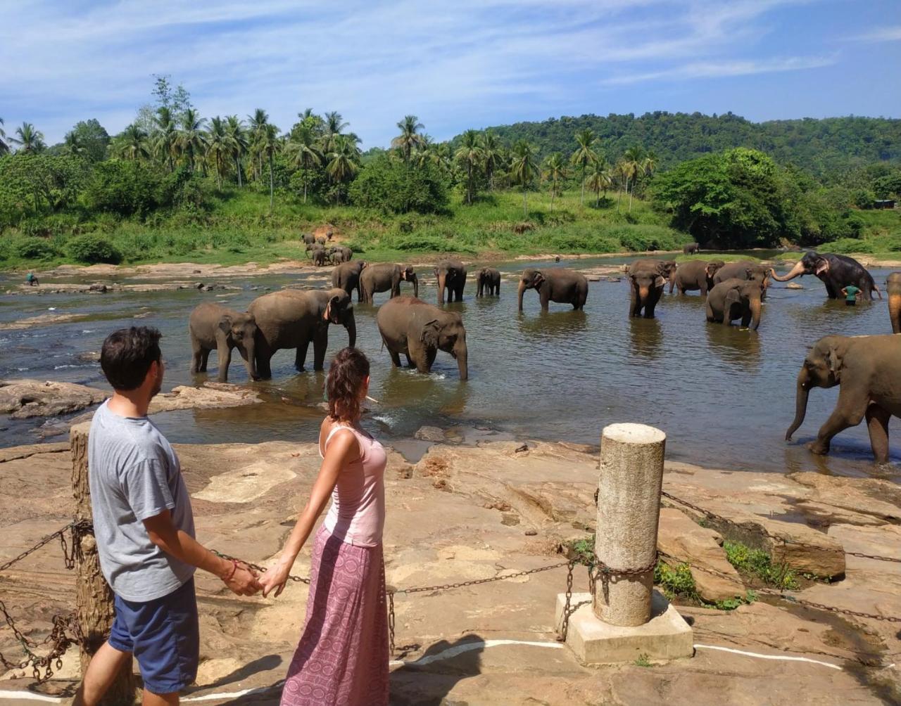 Hotel Elephant Park - New Deal! Half Off Airport Pickups Available Pinnawala  Exterior foto
