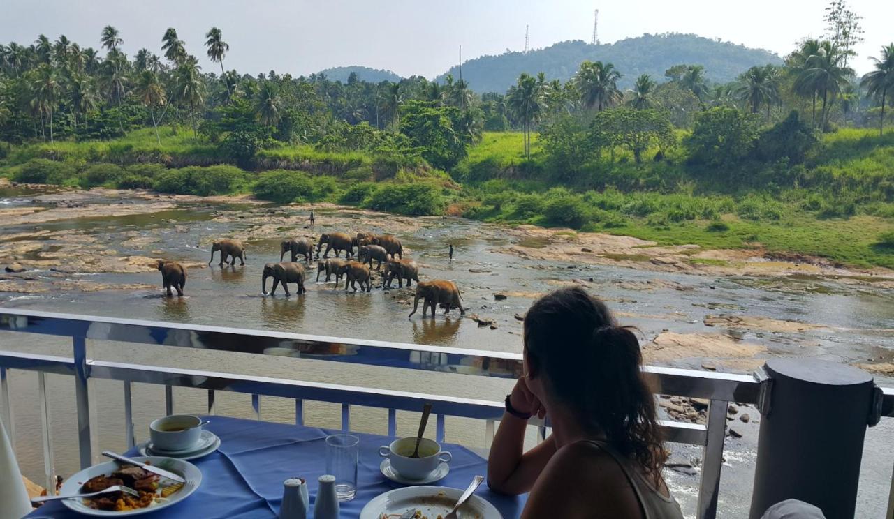 Hotel Elephant Park - New Deal! Half Off Airport Pickups Available Pinnawala  Exterior foto