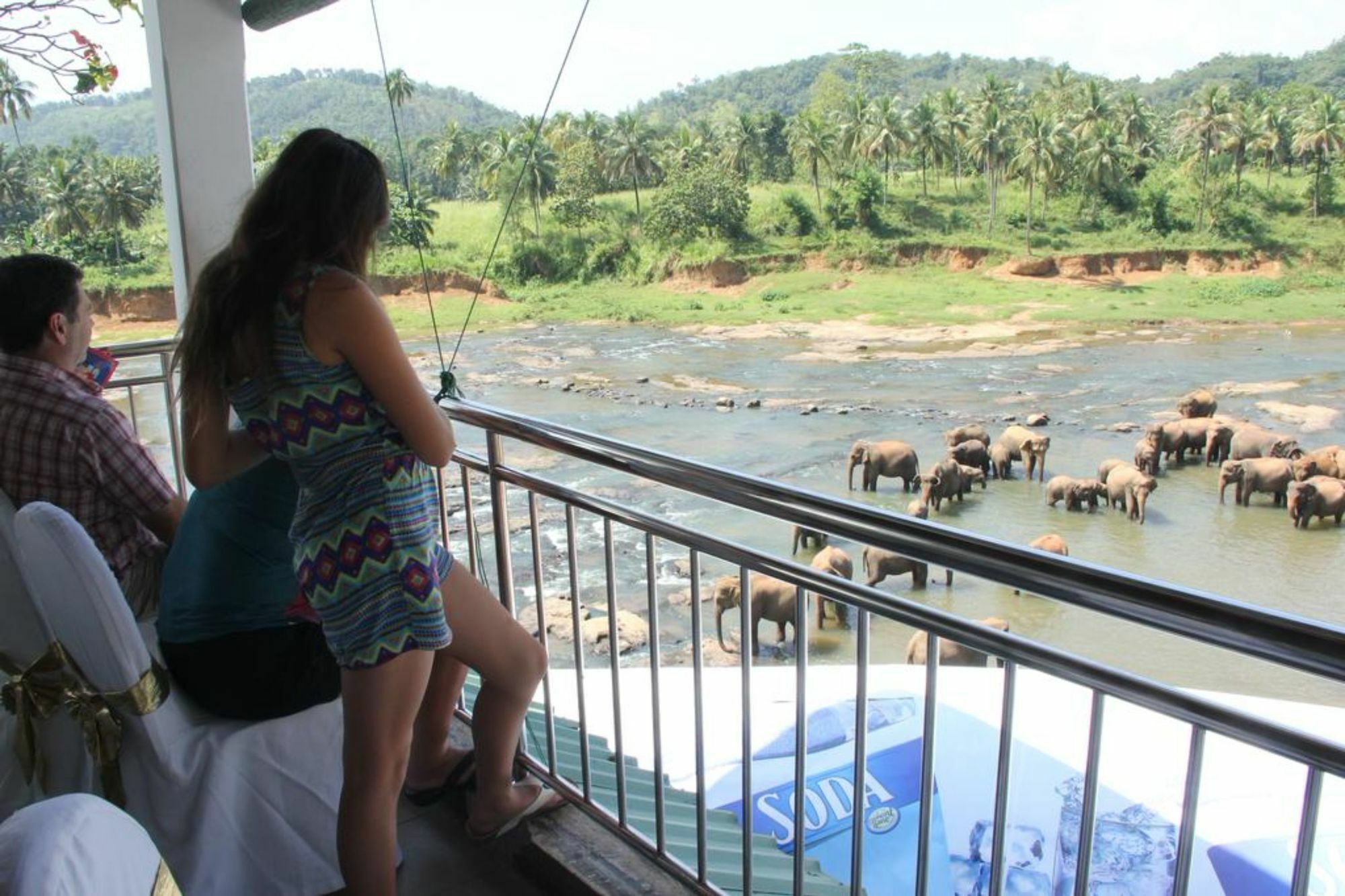 Hotel Elephant Park - New Deal! Half Off Airport Pickups Available Pinnawala  Exterior foto