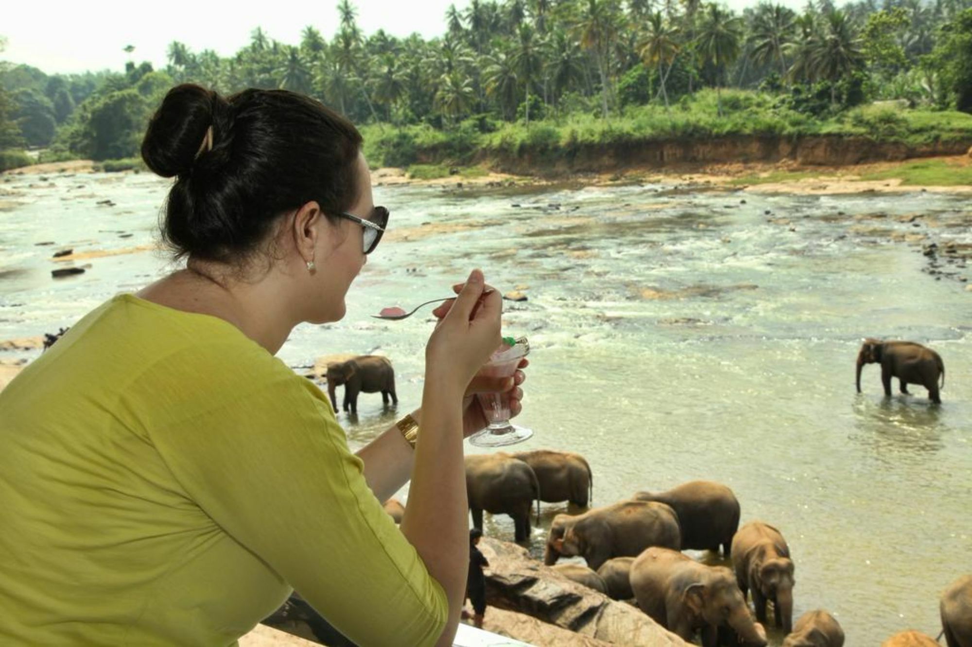 Hotel Elephant Park - New Deal! Half Off Airport Pickups Available Pinnawala  Exterior foto