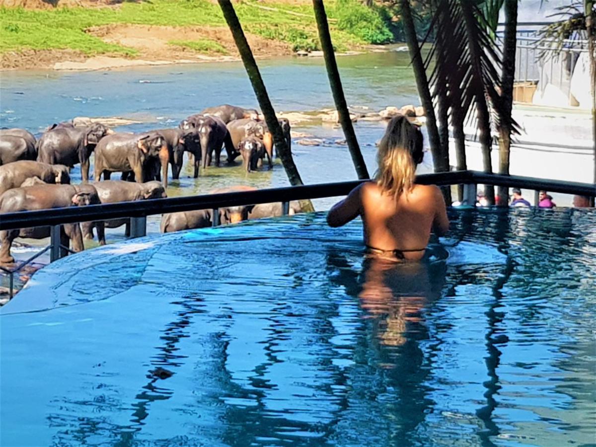 Hotel Elephant Park - New Deal! Half Off Airport Pickups Available Pinnawala  Exterior foto