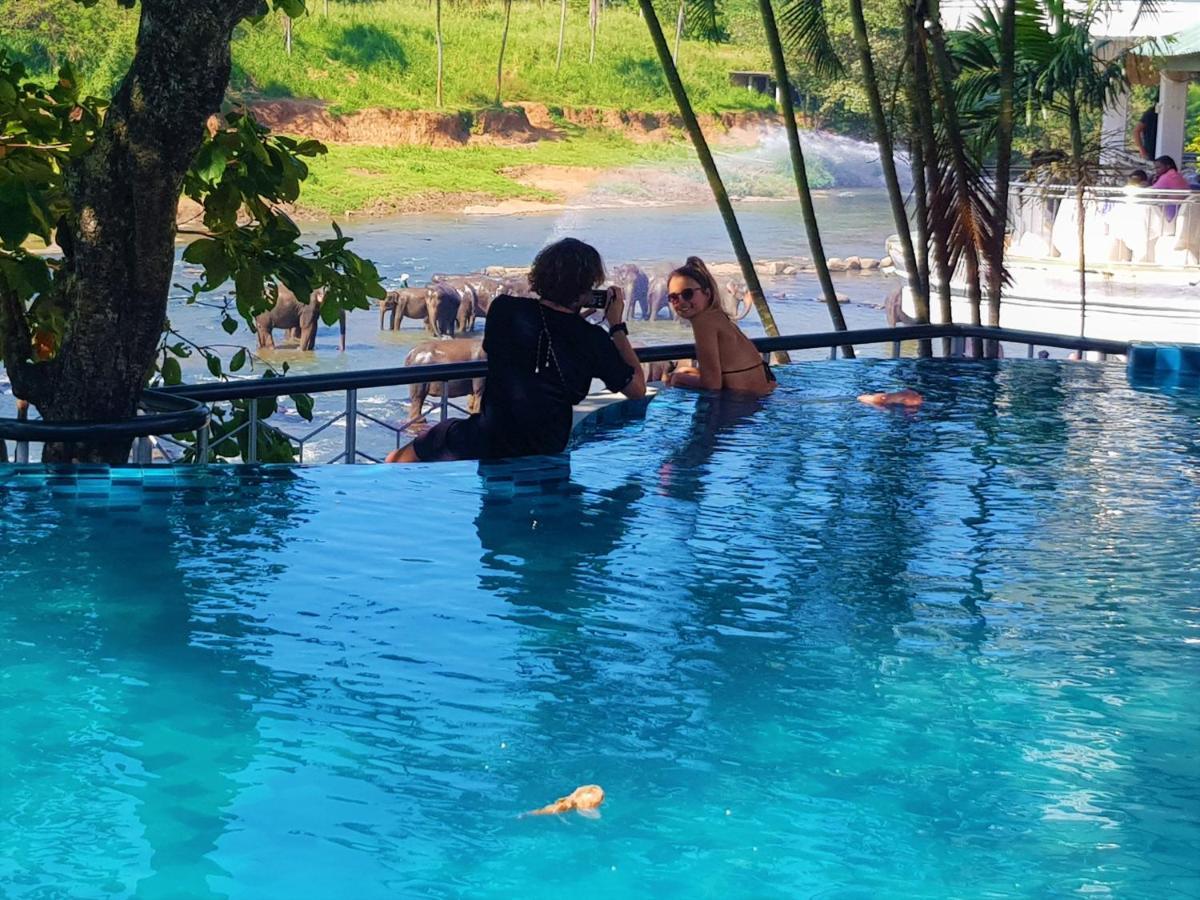 Hotel Elephant Park - New Deal! Half Off Airport Pickups Available Pinnawala  Exterior foto